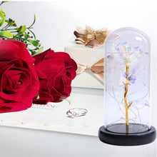 Load image into Gallery viewer, *NEW* Enchanted Timeless Love Rose