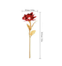 Load image into Gallery viewer, Timeless Love Rose
